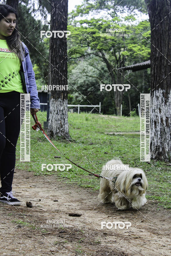 Buy your photos of the event2 PET RUNNER 2019 on Fotop