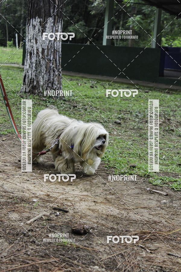 Buy your photos of the event2 PET RUNNER 2019 on Fotop