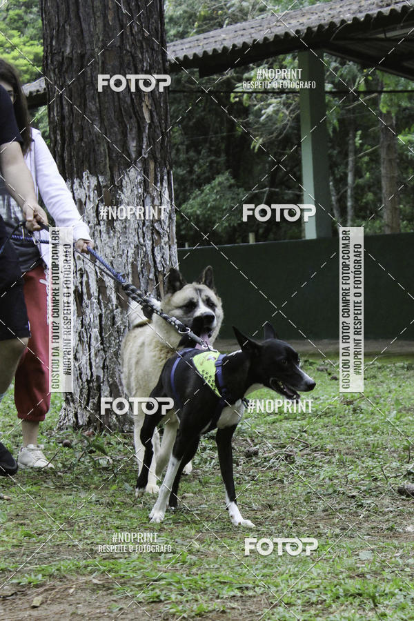 Buy your photos of the event2 PET RUNNER 2019 on Fotop