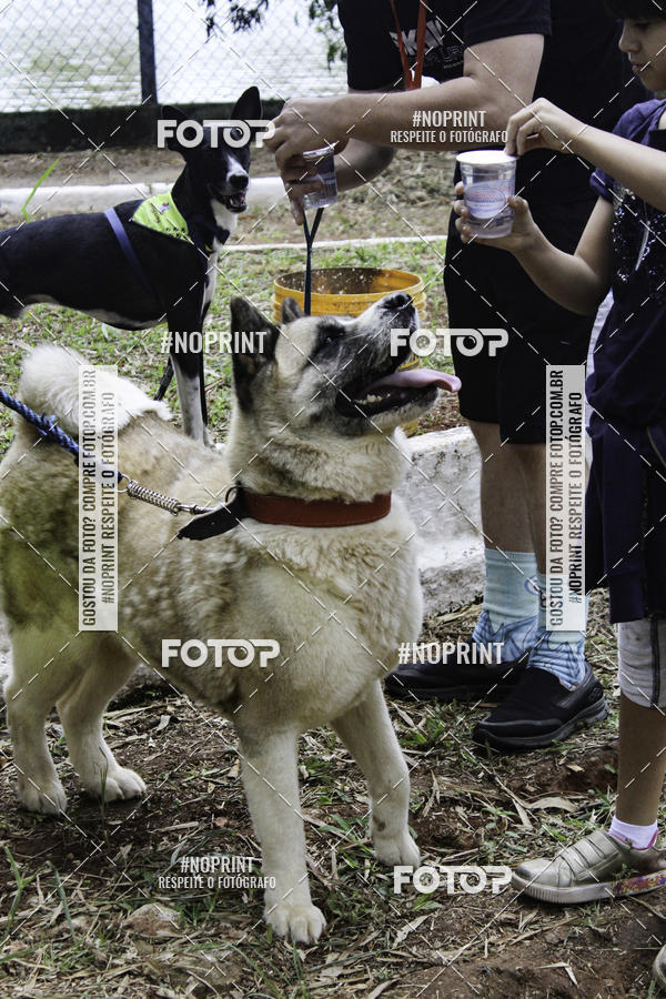 Buy your photos of the event2 PET RUNNER 2019 on Fotop