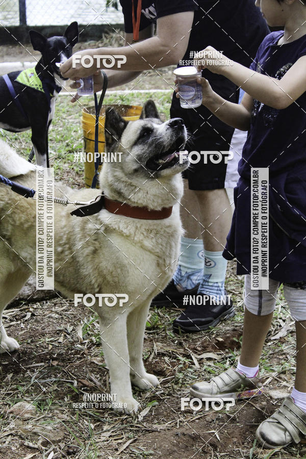 Buy your photos of the event2 PET RUNNER 2019 on Fotop
