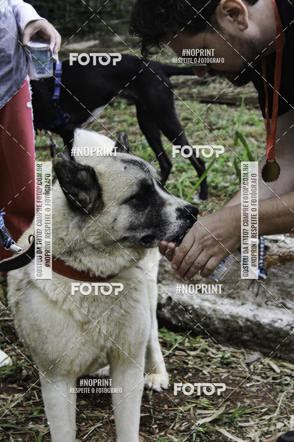 Buy your photos of the event2 PET RUNNER 2019 on Fotop