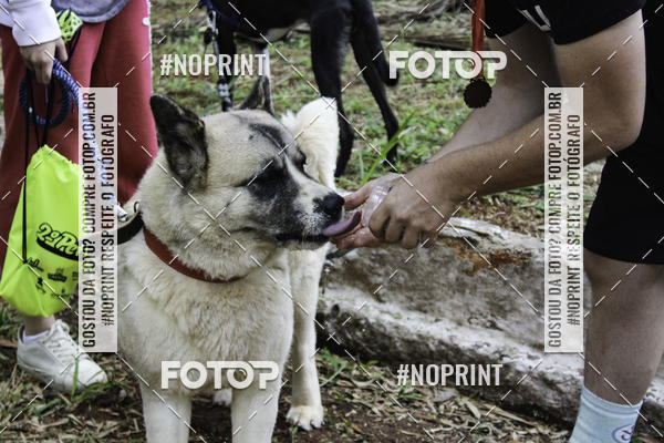 Buy your photos of the event2 PET RUNNER 2019 on Fotop