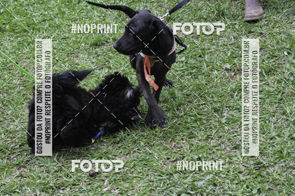 Buy your photos of the event2 PET RUNNER 2019 on Fotop