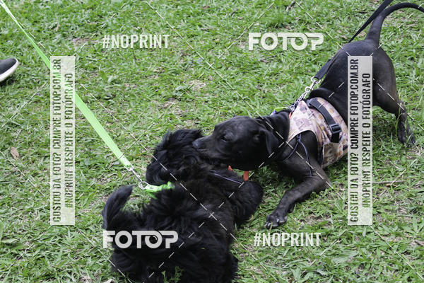 Buy your photos of the event2 PET RUNNER 2019 on Fotop