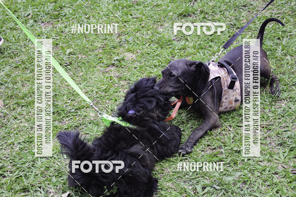 Buy your photos of the event2 PET RUNNER 2019 on Fotop