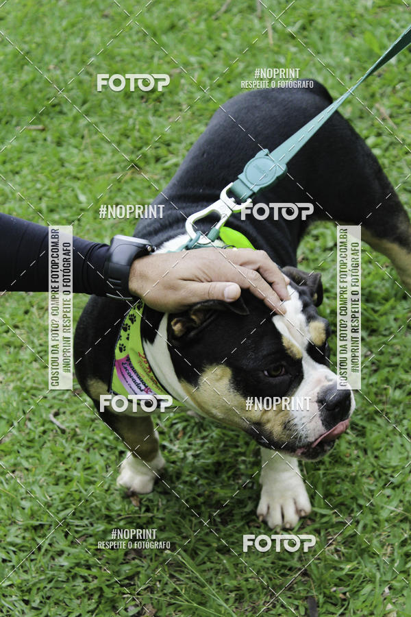 Buy your photos of the event2 PET RUNNER 2019 on Fotop