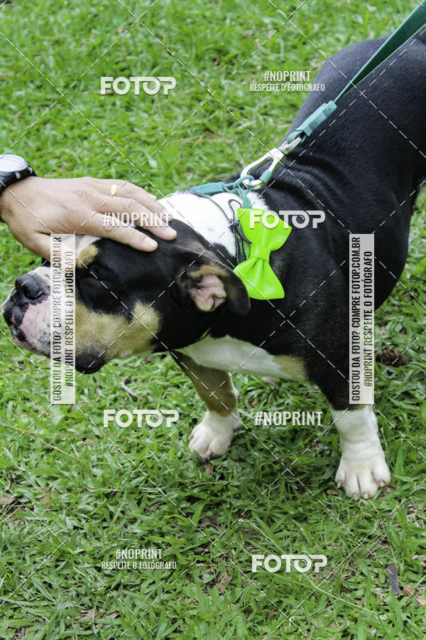 Buy your photos of the event2 PET RUNNER 2019 on Fotop