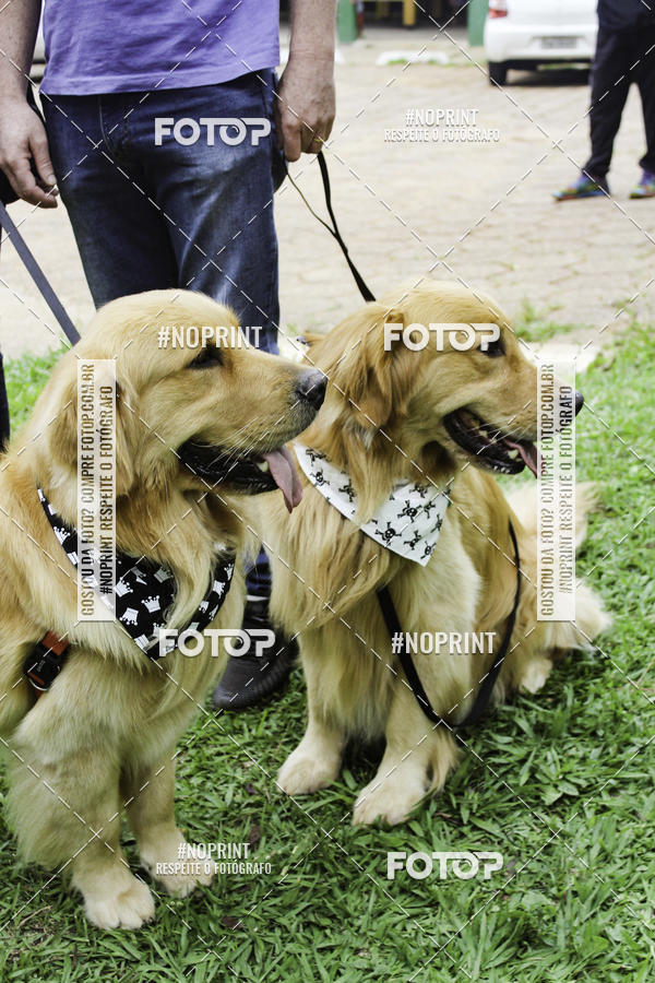 Buy your photos of the event2 PET RUNNER 2019 on Fotop