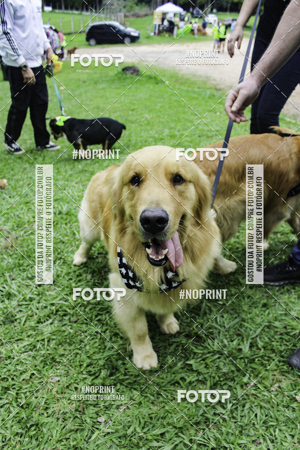 Buy your photos of the event2 PET RUNNER 2019 on Fotop