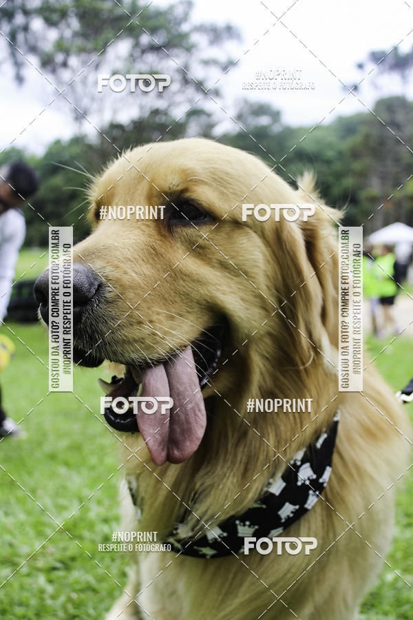 Buy your photos of the event2 PET RUNNER 2019 on Fotop