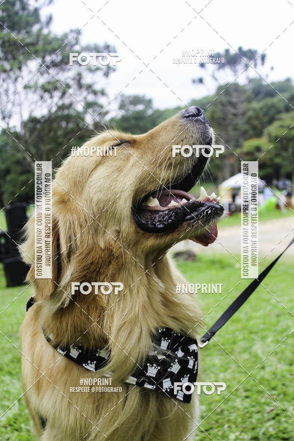 Buy your photos of the event2 PET RUNNER 2019 on Fotop