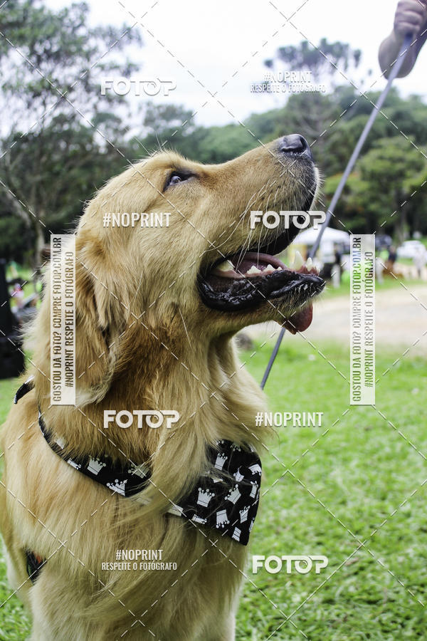 Buy your photos of the event2 PET RUNNER 2019 on Fotop