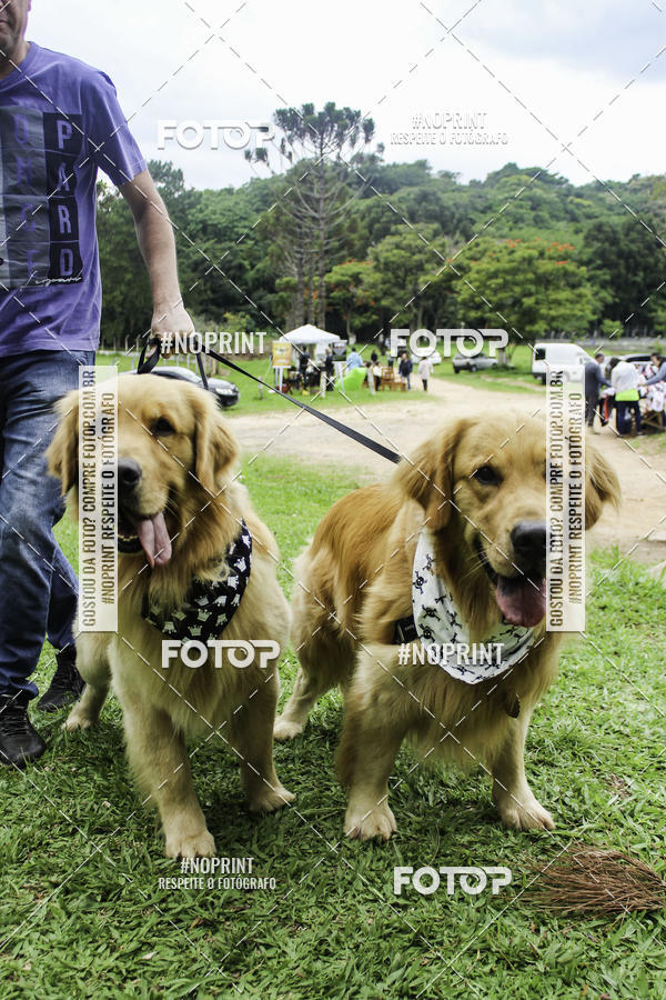 Buy your photos of the event2 PET RUNNER 2019 on Fotop