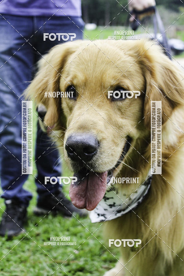 Buy your photos of the event2 PET RUNNER 2019 on Fotop