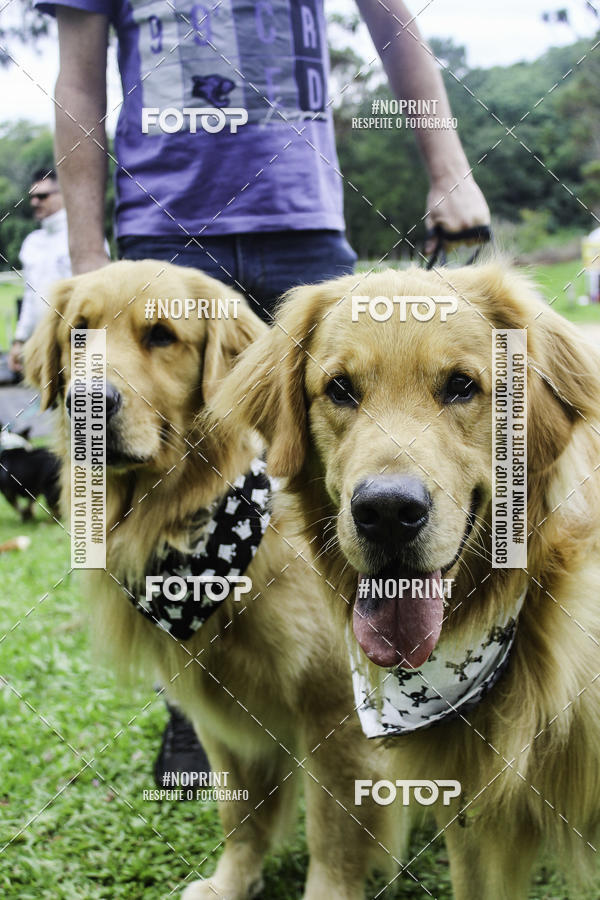 Buy your photos of the event2 PET RUNNER 2019 on Fotop