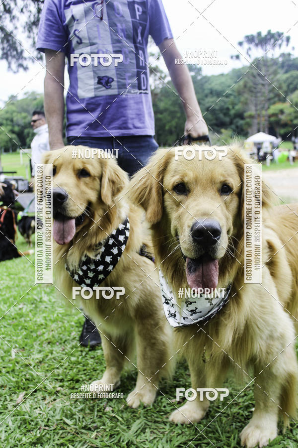 Buy your photos of the event2 PET RUNNER 2019 on Fotop