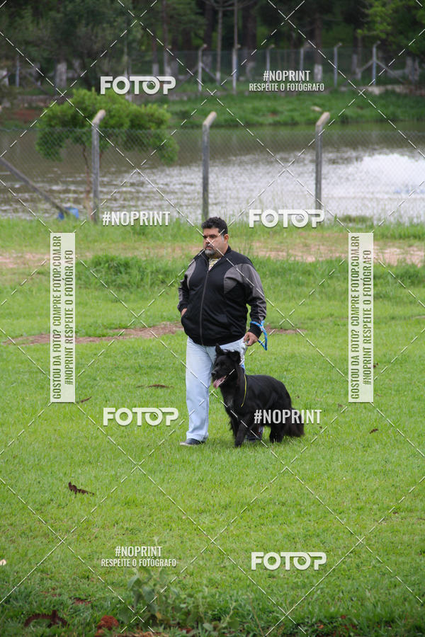 Buy your photos of the event2 PET RUNNER 2019 on Fotop