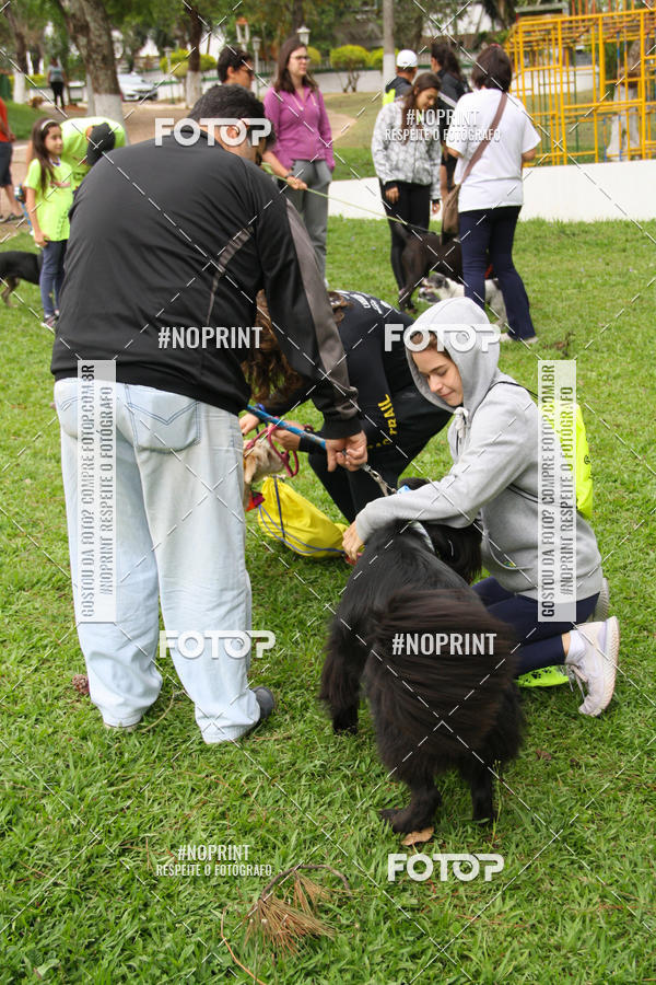 Buy your photos of the event2 PET RUNNER 2019 on Fotop