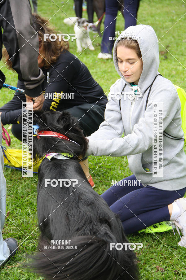 Buy your photos of the event2 PET RUNNER 2019 on Fotop