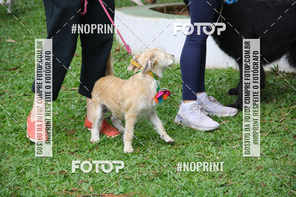 Buy your photos of the event2 PET RUNNER 2019 on Fotop