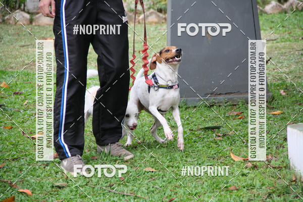 Buy your photos of the event2 PET RUNNER 2019 on Fotop