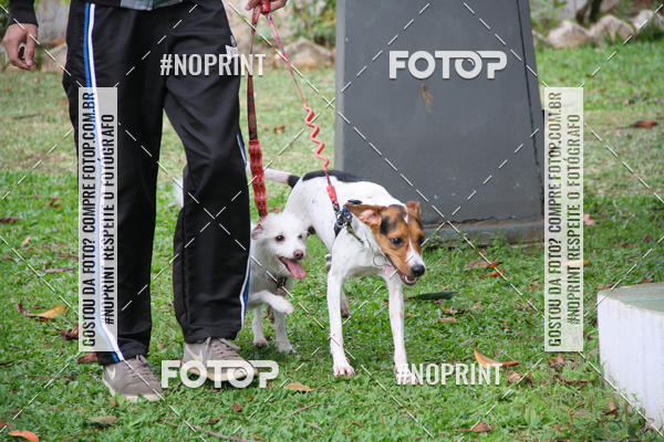 Buy your photos of the event2 PET RUNNER 2019 on Fotop
