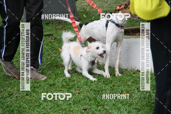 Buy your photos of the event2 PET RUNNER 2019 on Fotop