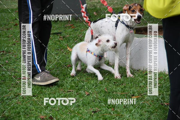 Buy your photos of the event2 PET RUNNER 2019 on Fotop
