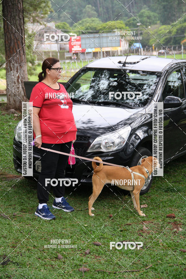 Buy your photos of the event2 PET RUNNER 2019 on Fotop