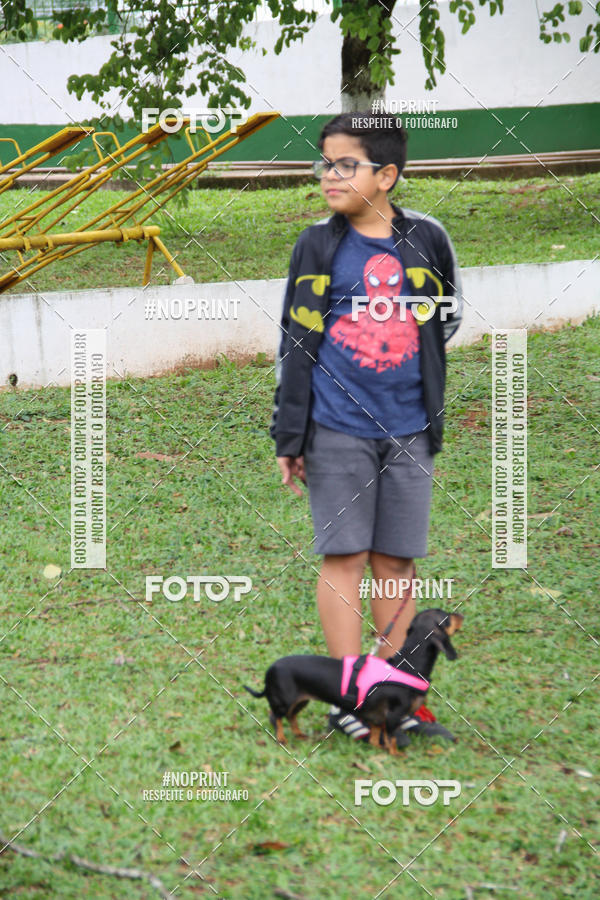 Buy your photos of the event2 PET RUNNER 2019 on Fotop