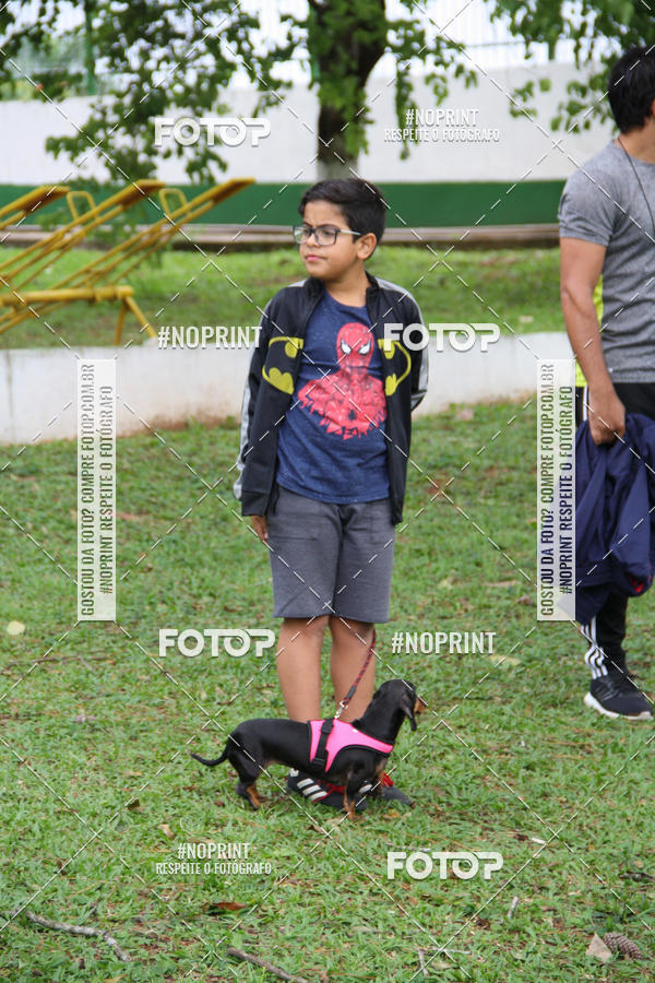 Buy your photos of the event2 PET RUNNER 2019 on Fotop