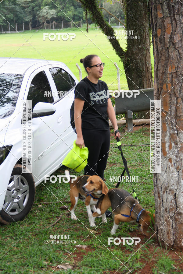 Buy your photos of the event2 PET RUNNER 2019 on Fotop