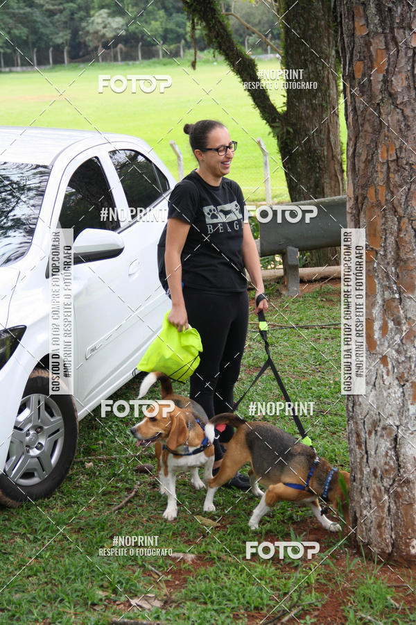 Buy your photos of the event2 PET RUNNER 2019 on Fotop