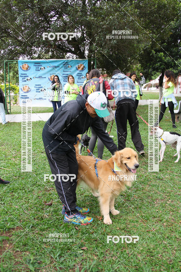 Buy your photos of the event2 PET RUNNER 2019 on Fotop