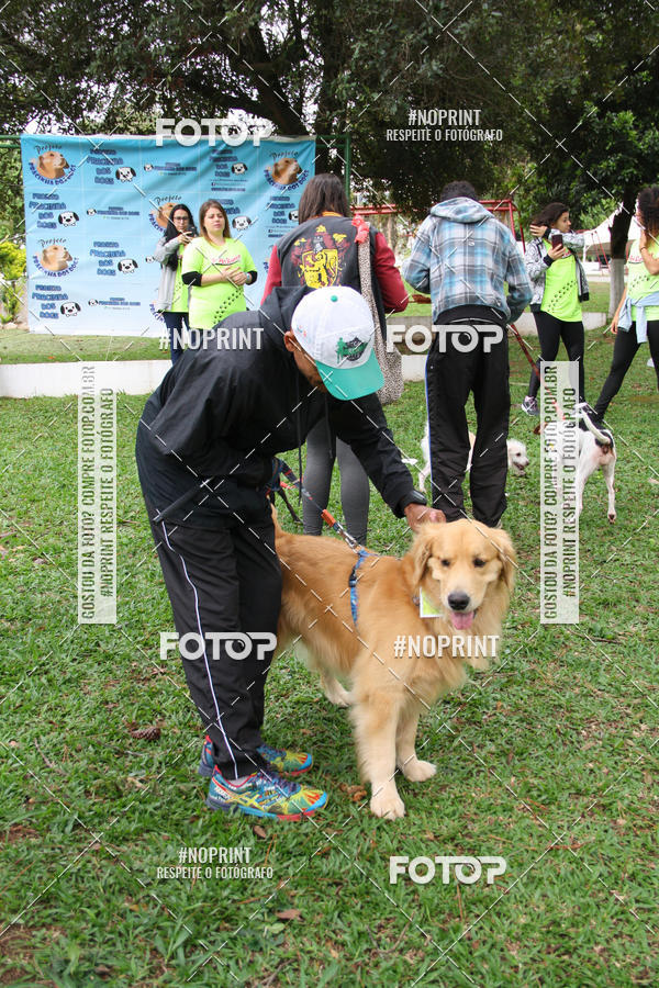 Buy your photos of the event2 PET RUNNER 2019 on Fotop
