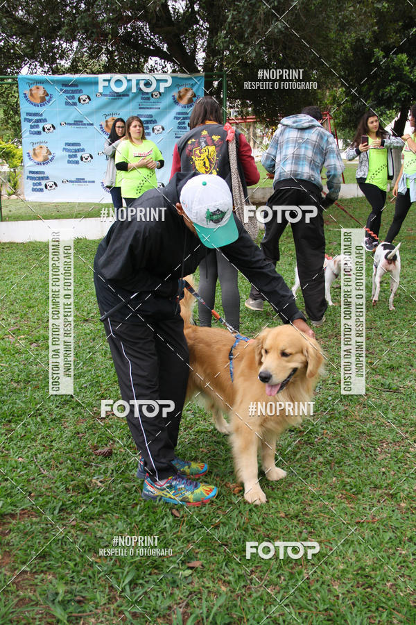 Buy your photos of the event2 PET RUNNER 2019 on Fotop