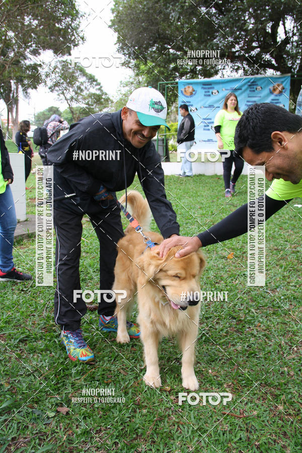 Buy your photos of the event2 PET RUNNER 2019 on Fotop
