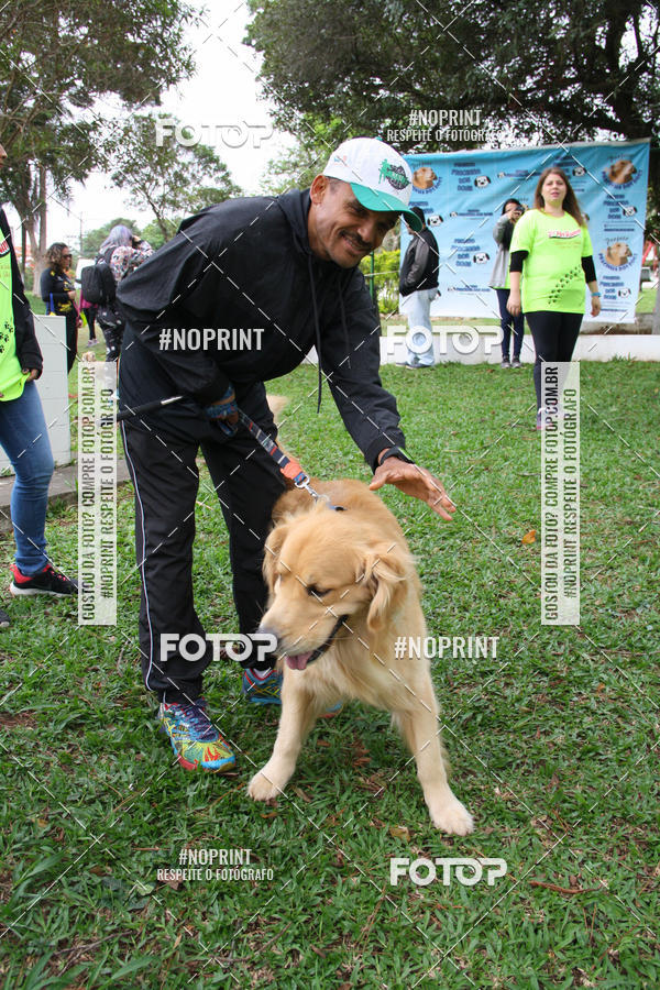 Buy your photos of the event2 PET RUNNER 2019 on Fotop