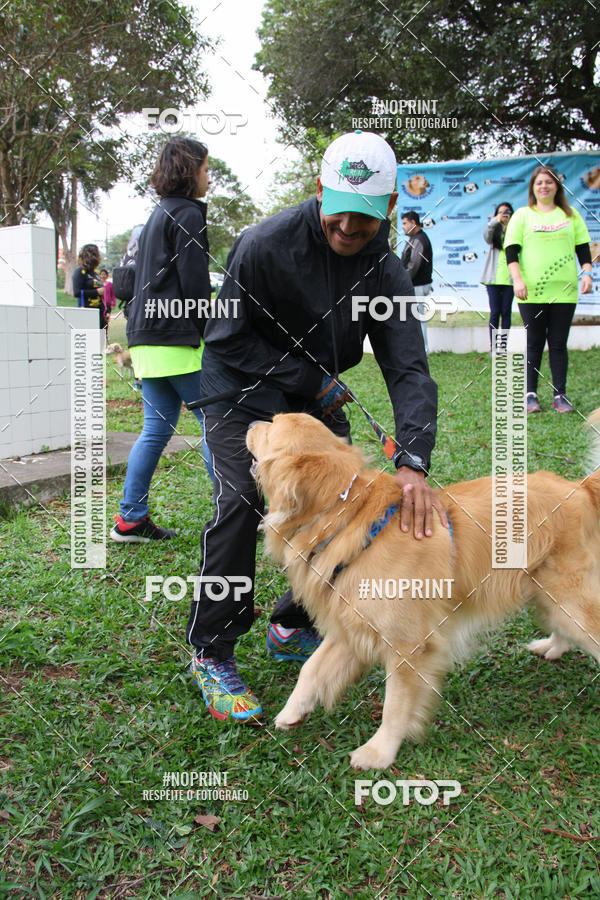 Buy your photos of the event2 PET RUNNER 2019 on Fotop