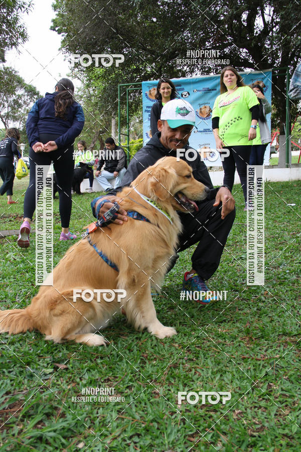 Buy your photos of the event2 PET RUNNER 2019 on Fotop