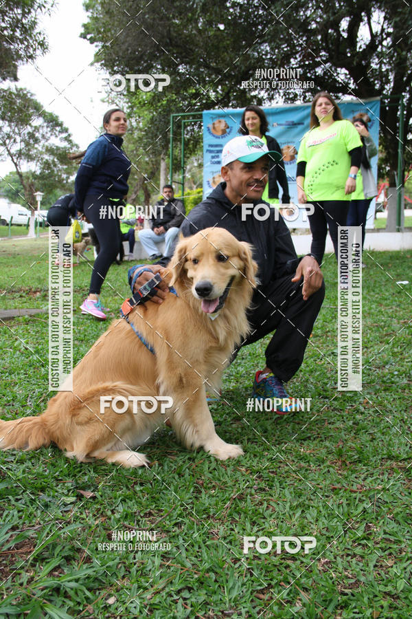 Buy your photos of the event2 PET RUNNER 2019 on Fotop