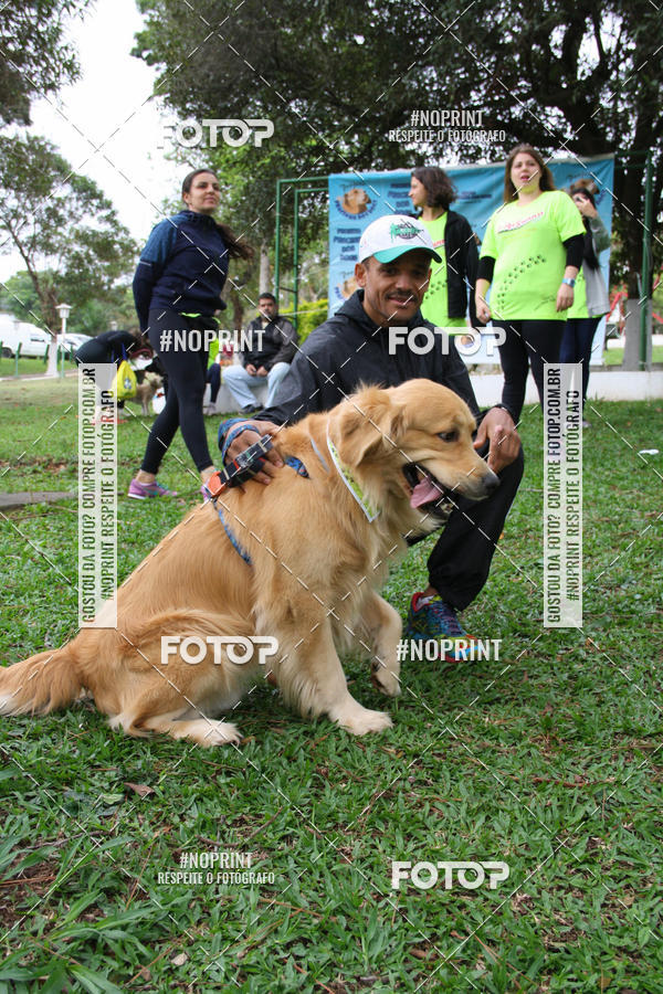 Buy your photos of the event2 PET RUNNER 2019 on Fotop