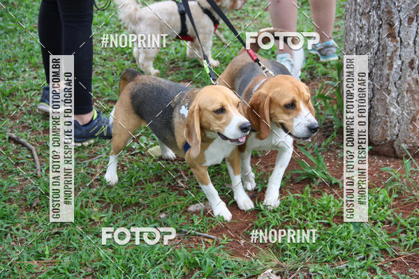 Buy your photos of the event2 PET RUNNER 2019 on Fotop