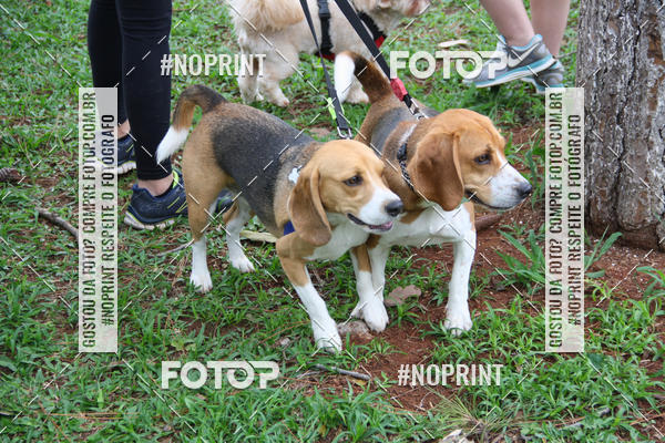 Buy your photos of the event2 PET RUNNER 2019 on Fotop