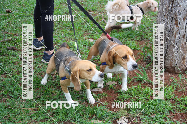 Buy your photos of the event2 PET RUNNER 2019 on Fotop