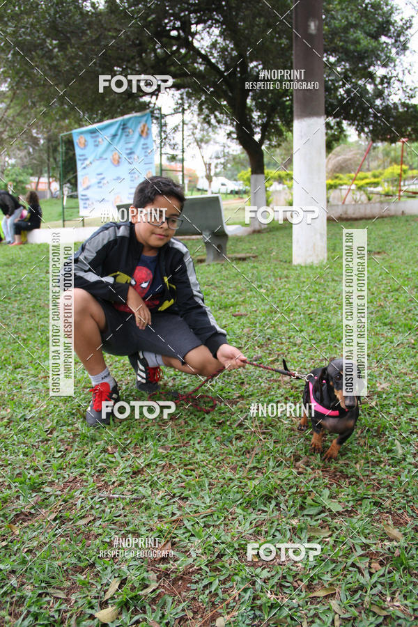 Buy your photos of the event2 PET RUNNER 2019 on Fotop