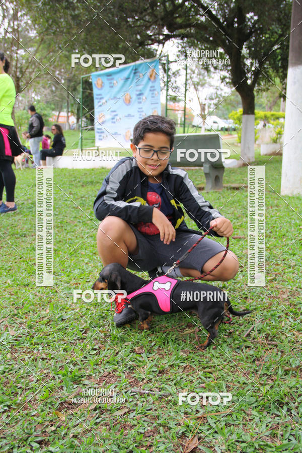 Buy your photos of the event2 PET RUNNER 2019 on Fotop