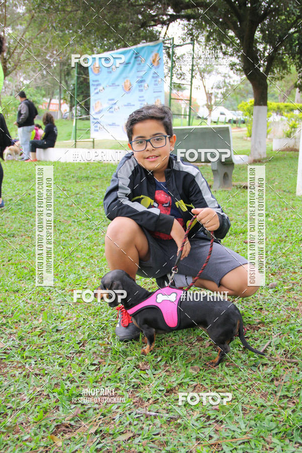 Buy your photos of the event2 PET RUNNER 2019 on Fotop