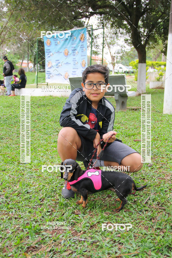 Buy your photos of the event2 PET RUNNER 2019 on Fotop